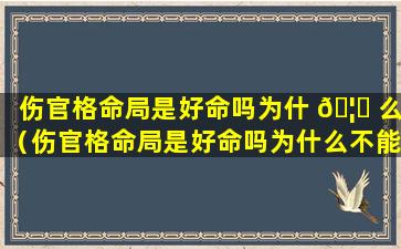 伤官格命局是好命吗为什 🦄 么（伤官格命局是好命吗为什么不能结婚）